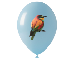 Fotoballonger / Fuldfärgsballonger CMYK